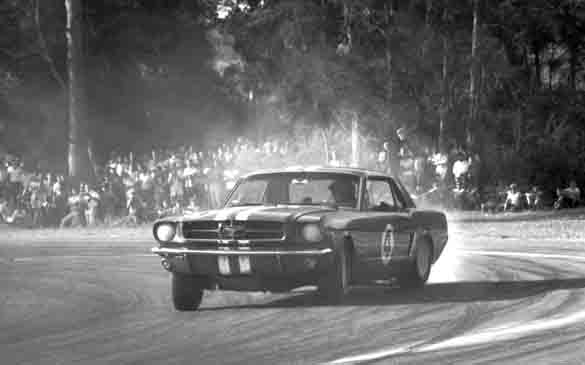 Beechey, Geoghegan & Jane: The racing Mustangs of 1965