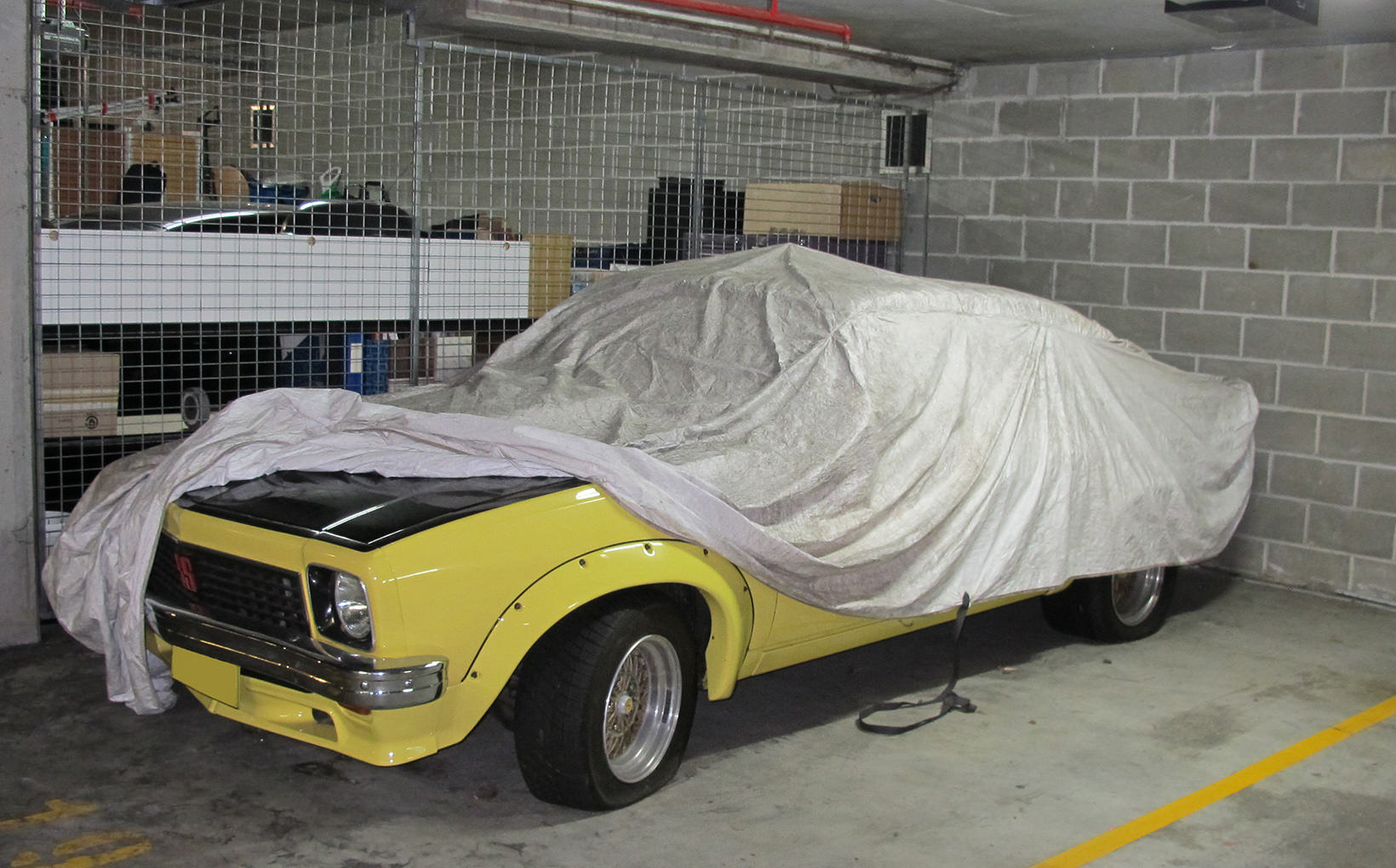 Uncaged Holden 'Lion' set to roar again