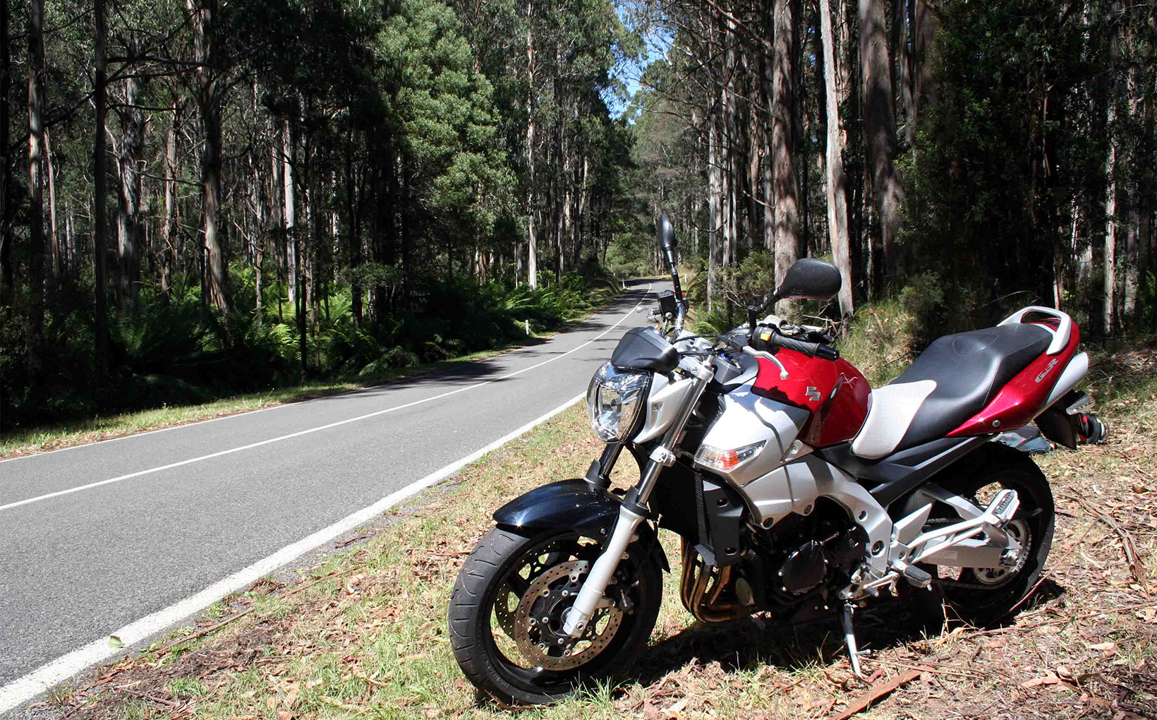 Victoria: Reefton Spur - Scratcher&rsquo;s Paradise