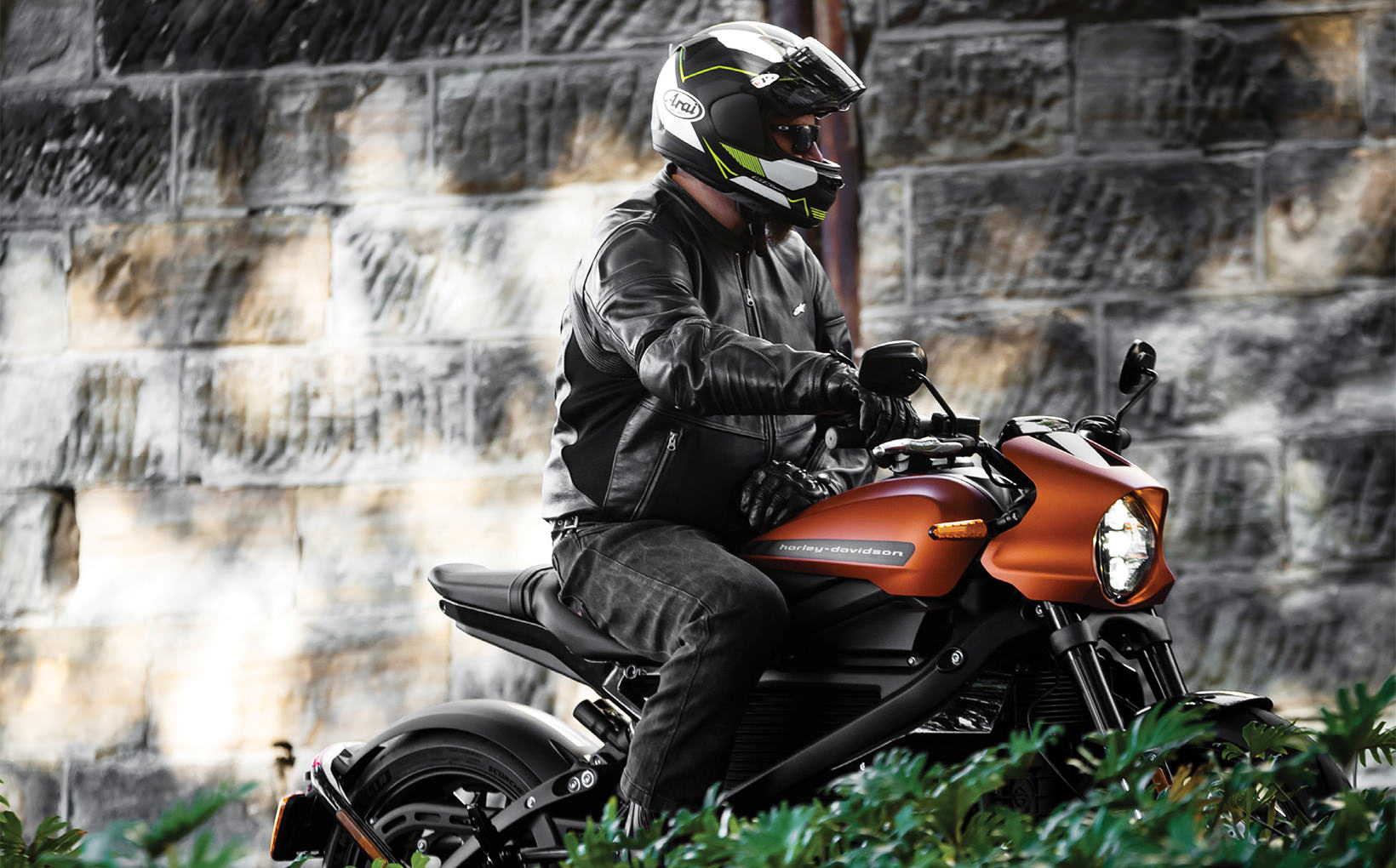 2020 Harley-Davidson LiveWire: Plug & Play